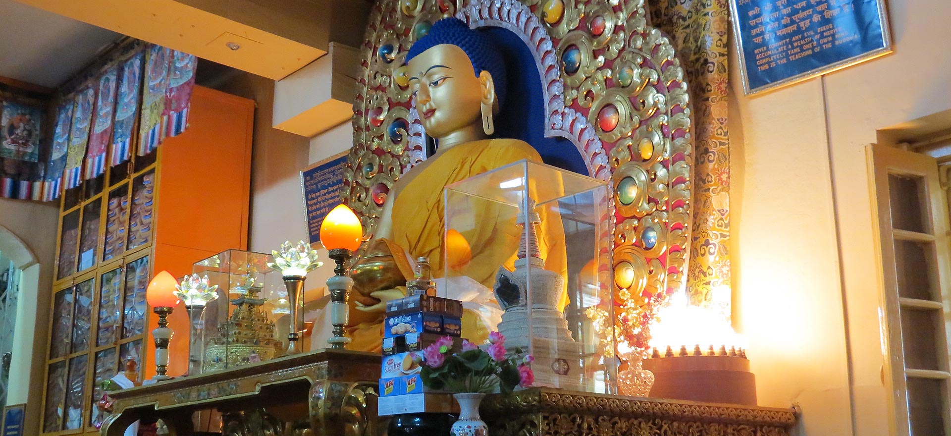 hotels near dalai lama temple mcleodganj